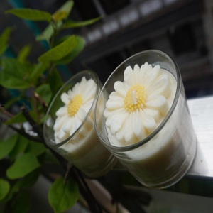 White Daisy