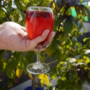 Red Wine