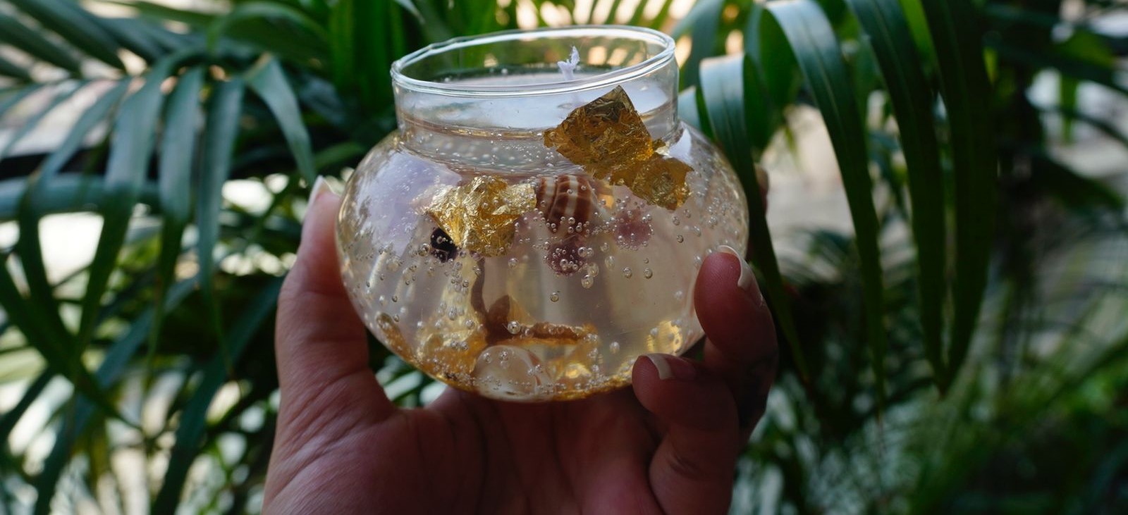 Calming Seashell