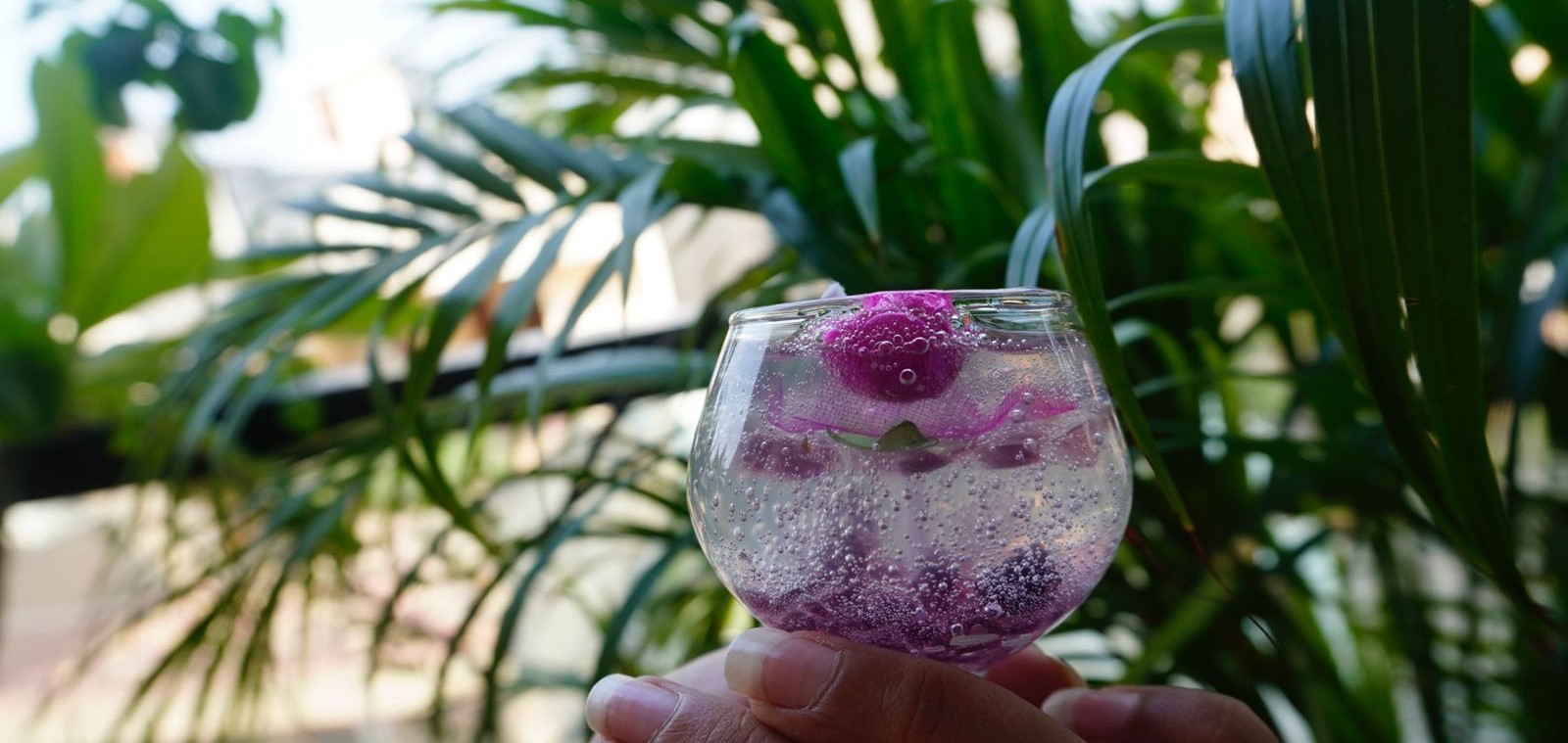 Raspberry Champagne
