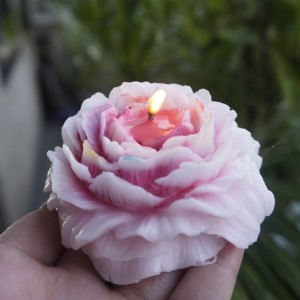 Velvet Rose