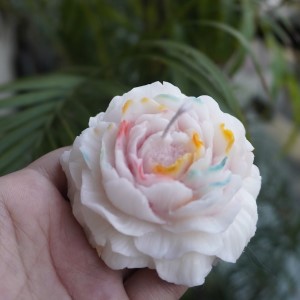 White Rose